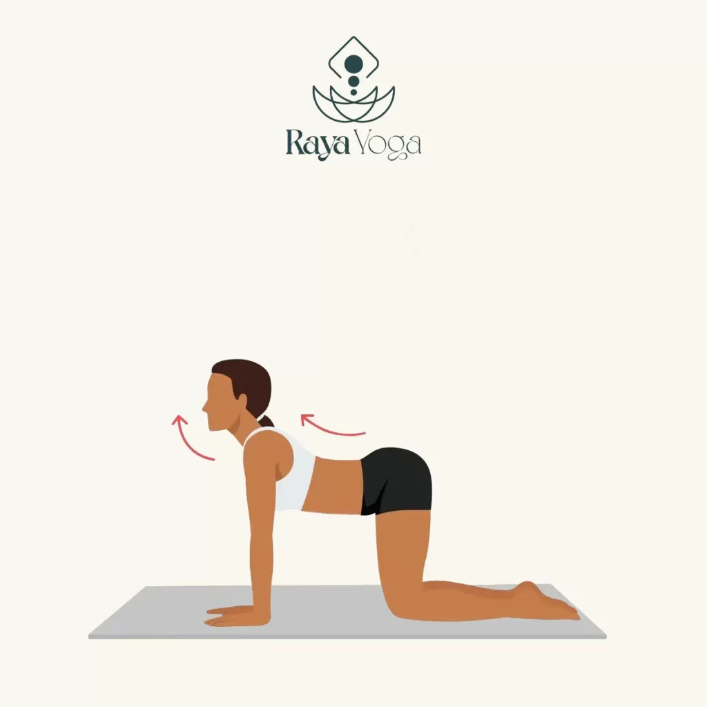 حالت گربه-گاو (Cat-Cow Pose)