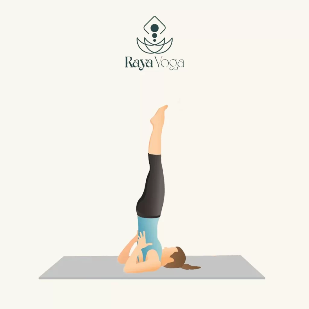 سرواسانا (Shoulderstand)