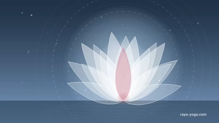 عنوان «Spacie Gracie Yoga & Mimosas» در خبرهای یوگا