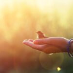 تمرین پذیرش در ذهن‌آگاهی؛ دیدن تغییرهای کوچک زندگی