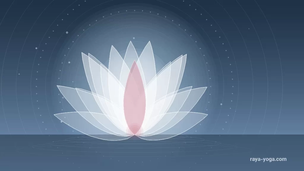 بررسی اپ Lotus Flow برای یوگا، پیلاتس و یوگای روی صندلی