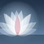 بررسی اپ Lotus Flow برای یوگا، پیلاتس و یوگای روی صندلی