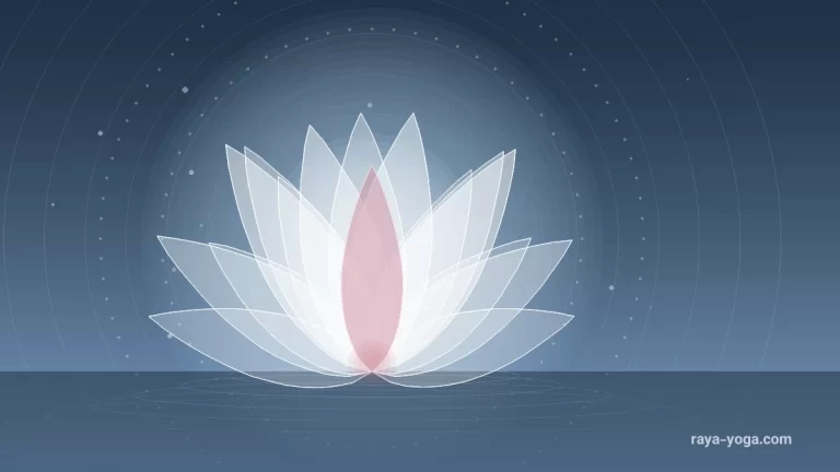 بررسی اپ Lotus Flow برای یوگا، پیلاتس و یوگای روی صندلی