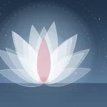 نمایندگان خواستار قانون گسترده‌تر پس از تعطیلی Hotstone Yoga شدند