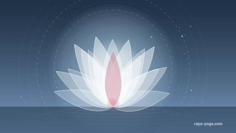 Alo Yoga نخستین فروشگاه خود در چین بزرگ را افتتاح کرد