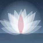 راهنمای آمادگی پیش از تمرین یوگا از سوی Yoga India Foundation