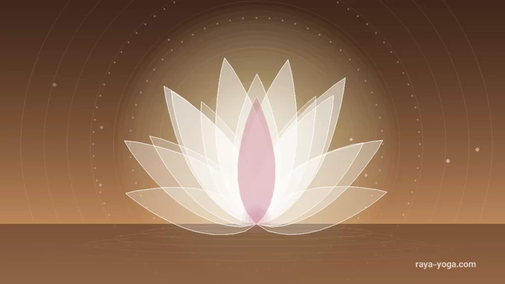 گفتوگوی Gita Ramesh درباره آیورودا و معنای یک تجمل دستنیافتنی