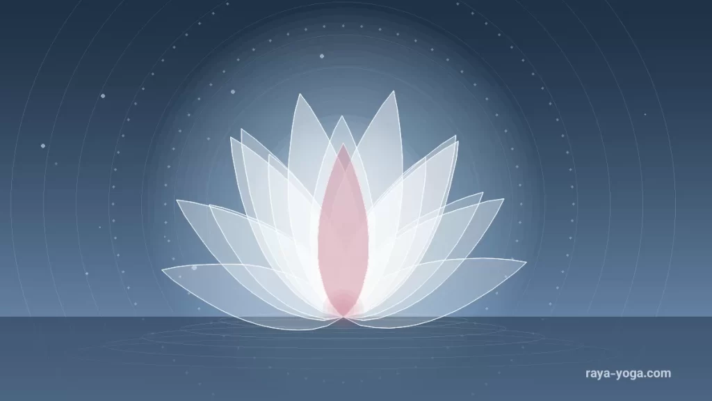 Harmony In Motion Yoga؛ گزارشی کوتاه درباره کمک‌رسانی