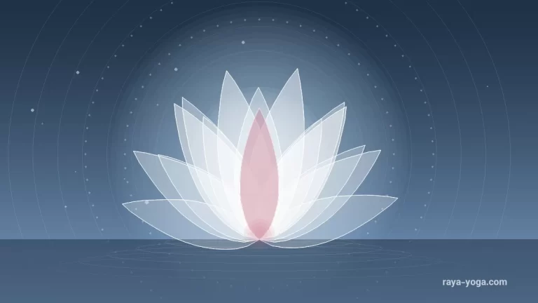 Harmony In Motion Yoga؛ گزارشی کوتاه درباره کمک‌رسانی