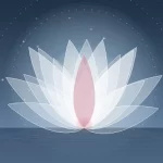 Alo Yoga علیه خالق استرالیایی Meredith ادعای مالکیت فکری مطرح کرد
