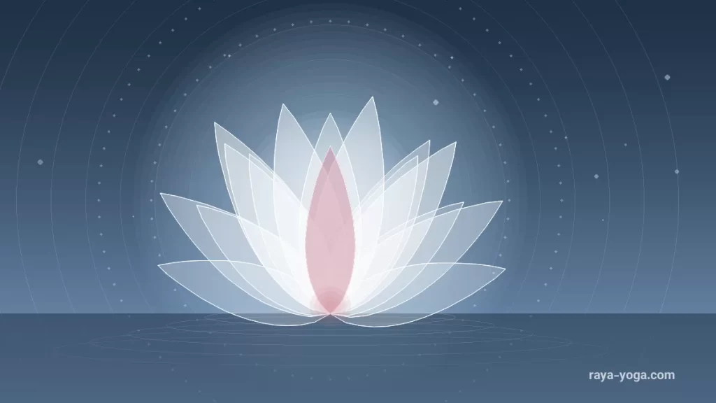 Misty Moon Yoga & Wellness فضای فراگیر برای حرکت ایجاد می‌کند