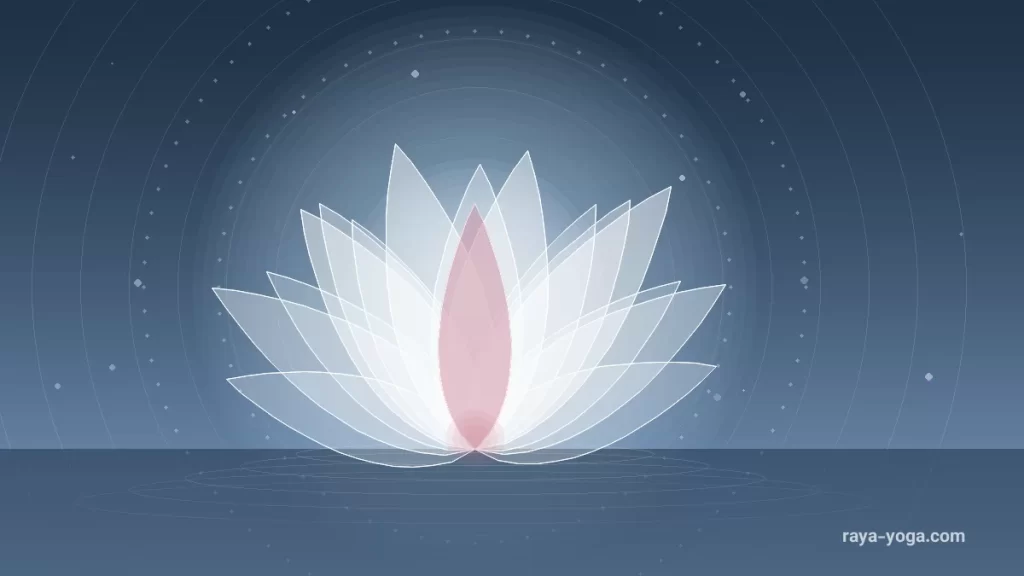 Be Rooted Yoga & Wellness Collective نخستین سال فعالیتش را جشن گرفت